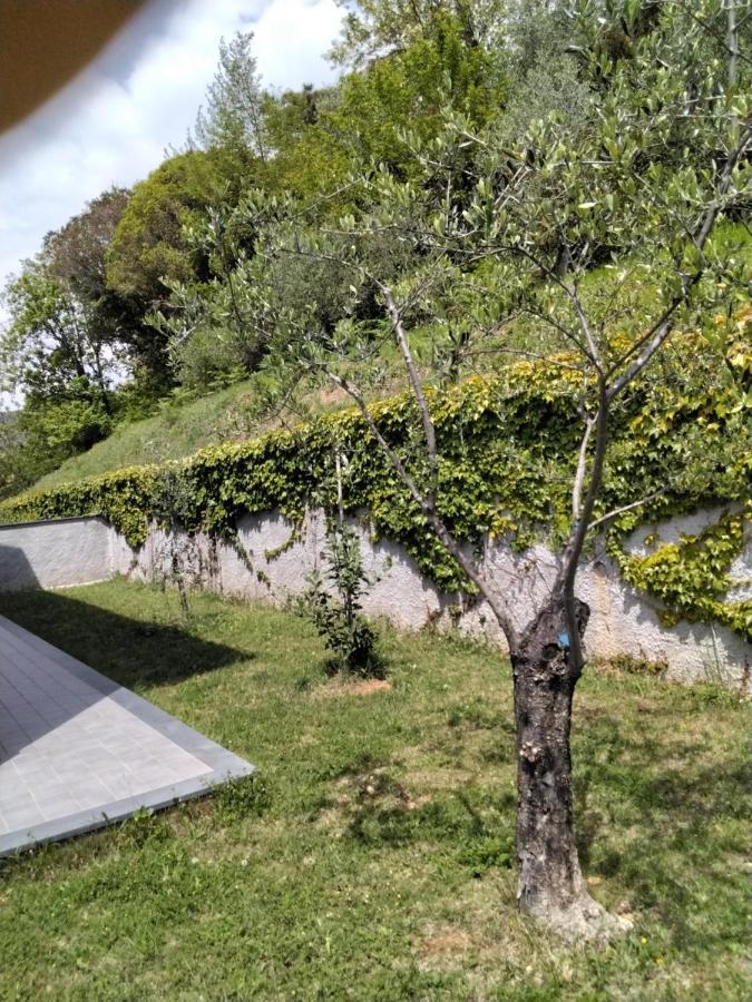 "Vento Di Levante Suite" Benvenuti In Collina Casarza Ligure Dış mekan fotoğraf