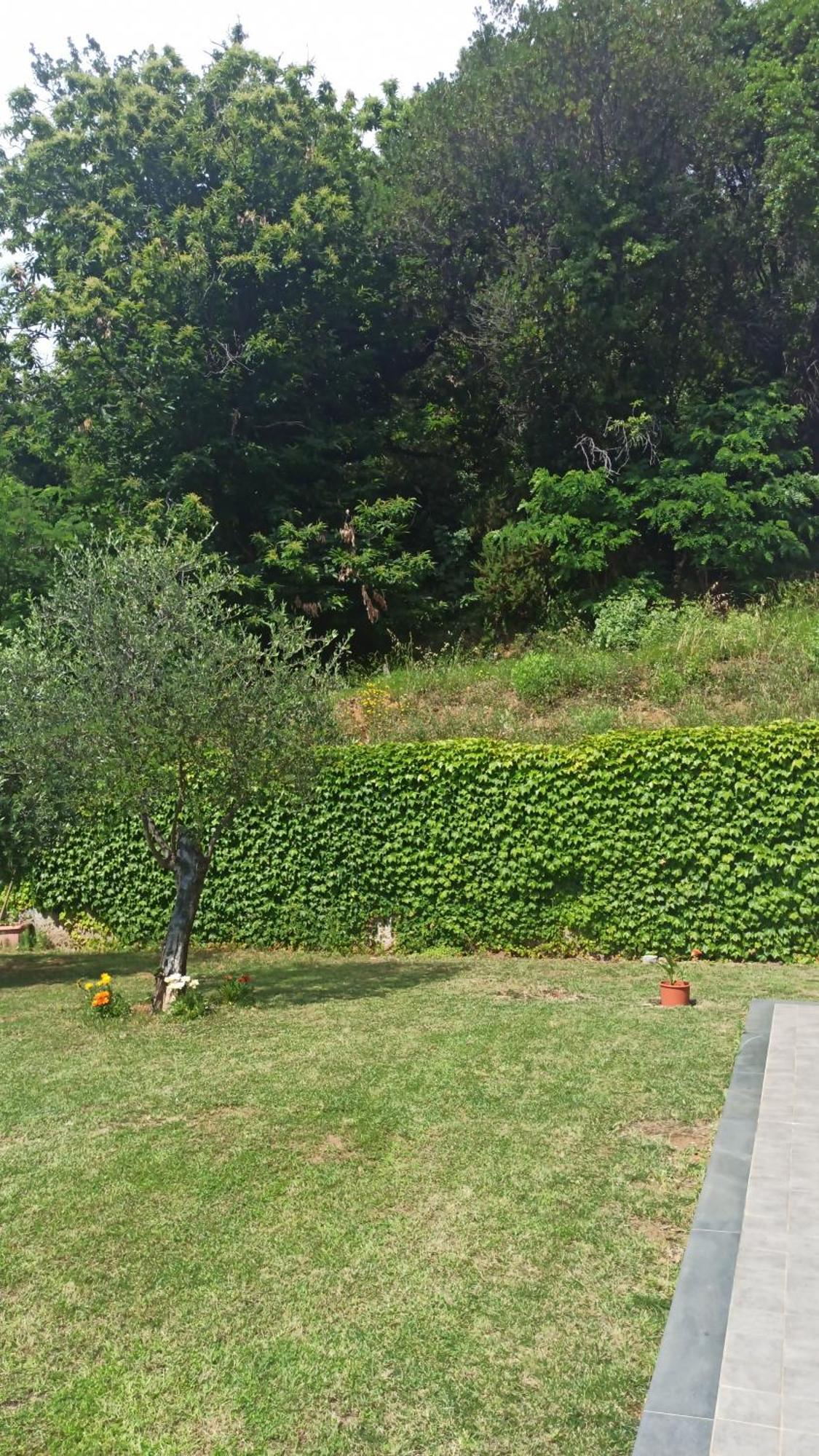 "Vento Di Levante Suite" Benvenuti In Collina Casarza Ligure Dış mekan fotoğraf